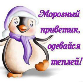 Открытка. Открытка Привет! Открытка зимний привет, открытка зимний приветик, надпись зимний привет, картинка зимний приветик Открытка зимний привет, открытка зимний приветик, надпись зимний привет, надпись зимний приветик, картинка зимний приветик, картинка зимний привет, зима, зимний привет, снежный привет