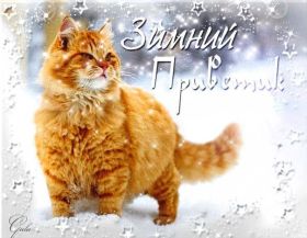 Открытка. Открытка Привет! Открытка зимний привет, открытка зимний приветик, надпись зимний привет, картинка зимний приветик Открытка зимний привет, открытка зимний приветик, надпись зимний привет, надпись зимний приветик, картинка зимний приветик, картинка зимний привет, зима, зимний привет, снежный привет