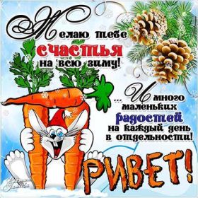 Открытка. Открытка Привет! Открытка зимний привет, открытка зимний приветик, надпись зимний привет, картинка зимний приветик Открытка зимний привет, открытка зимний приветик, надпись зимний привет, надпись зимний приветик, картинка зимний приветик, картинка зимний привет, зима, зимний привет, снежный привет