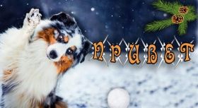 Открытка. Открытка Привет! Открытка зимний привет, открытка зимний приветик, надпись зимний привет, картинка зимний приветик Открытка зимний привет, открытка зимний приветик, надпись зимний привет, надпись зимний приветик, картинка зимний приветик, картинка зимний привет, зима, зимний привет, снежный привет