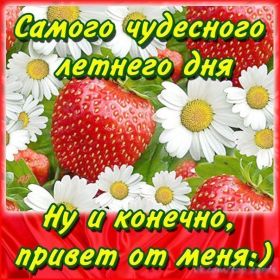 Открытка. Открытка Привет! Открытка летний привет, открытка летний приветик, надпись летний привет, картинка летний приветик Открытка летний привет, открытка летний приветик, надпись летний привет, надпись летний приветик, картинка летний приветик, картинка летний привет, лето, летний привет