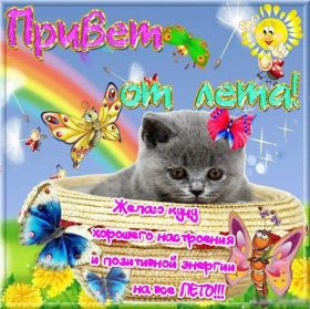 Открытка. Открытка Привет! Открытка летний привет, открытка летний приветик, надпись летний привет, картинка летний приветик Открытка летний привет, открытка летний приветик, надпись летний привет, надпись летний приветик, картинка летний приветик, картинка летний привет, лето, летний привет