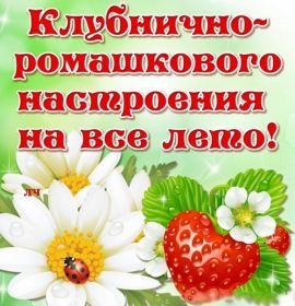 Открытка. Открытка Привет! Открытка летний привет, открытка летний приветик, надпись летний привет, картинка летний приветик Открытка летний привет, открытка летний приветик, надпись летний привет, надпись летний приветик, картинка летний приветик, картинка летний привет, лето, летний привет