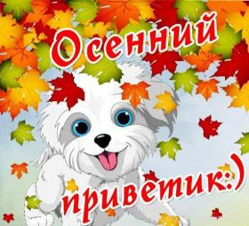 Открытка. Открытка Привет! Открытка осенний привет, открытка осенний приветик, надпись осенний привет, картинка осенний приветик Открытка осенний привет, открытка осенний приветик, надпись осенний привет, надпись осенний приветик, картинка осенний приветик, картинка осенний привет, осень, осенний привет