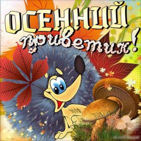 Открытка. Открытка Привет! Открытка осенний привет, открытка осенний приветик, надпись осенний привет, картинка осенний приветик Открытка осенний привет, открытка осенний приветик, надпись осенний привет, надпись осенний приветик, картинка осенний приветик, картинка осенний привет, осень, осенний привет