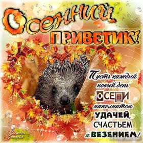 Открытка. Открытка Привет! Открытка осенний привет, открытка осенний приветик, надпись осенний привет, картинка осенний приветик Открытка осенний привет, открытка осенний приветик, надпись осенний привет, надпись осенний приветик, картинка осенний приветик, картинка осенний привет, осень, осенний привет
