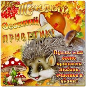 Открытка. Открытка Привет! Открытка осенний привет, открытка осенний приветик, надпись осенний привет, картинка осенний приветик Открытка осенний привет, открытка осенний приветик, надпись осенний привет, надпись осенний приветик, картинка осенний приветик, картинка осенний привет, осень, осенний привет