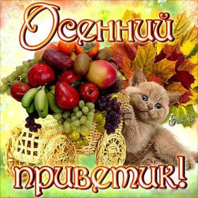 Открытка. Открытка Привет! Открытка осенний привет, открытка осенний приветик, надпись осенний привет, картинка осенний приветик Открытка осенний привет, открытка осенний приветик, надпись осенний привет, надпись осенний приветик, картинка осенний приветик, картинка осенний привет, осень, осенний привет