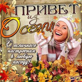 Открытка. Открытка Привет! Открытка осенний привет, открытка осенний приветик, надпись осенний привет, картинка осенний приветик Открытка осенний привет, открытка осенний приветик, надпись осенний привет, надпись осенний приветик, картинка осенний приветик, картинка осенний привет, осень, осенний привет