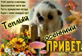 Открытка. Открытка Привет! Открытка осенний привет, открытка осенний приветик, надпись осенний привет, картинка осенний приветик Открытка осенний привет, открытка осенний приветик, надпись осенний привет, надпись осенний приветик, картинка осенний приветик, картинка осенний привет, осень, осенний привет