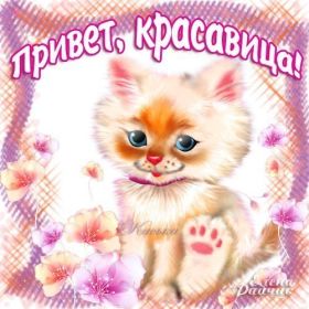 Открытка. Открытка Привет! Открытка привет, открытка приветик, открытка здрасьте, открытка здрасте, привет тебе, приветик для тебя Открытка привет, открытка приветик, открытка здрасьте, открытка здрасте, привет тебе, приветик для тебя, картинка привет, картинка приветик, картинка здрасьте, картинка здрасте, надпись привет, надпись приветик, надпись здрасьте, надпись здрасте