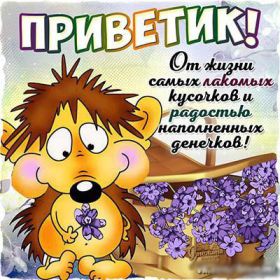 Открытка. Открытка Привет! Открытка привет, открытка приветик, открытка здрасьте, открытка здрасте, привет тебе, приветик для тебя Открытка привет, открытка приветик, открытка здрасьте, открытка здрасте, привет тебе, приветик для тебя, картинка привет, картинка приветик, картинка здрасьте, картинка здрасте, надпись привет, надпись приветик, надпись здрасьте, надпись здрасте