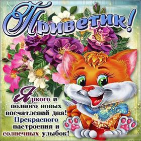 Открытка. Открытка Привет! Открытка привет, открытка приветик, открытка здрасьте, открытка здрасте, привет тебе, приветик для тебя Открытка привет, открытка приветик, открытка здрасьте, открытка здрасте, привет тебе, приветик для тебя, картинка привет, картинка приветик, картинка здрасьте, картинка здрасте, надпись привет, надпись приветик, надпись здрасьте, надпись здрасте