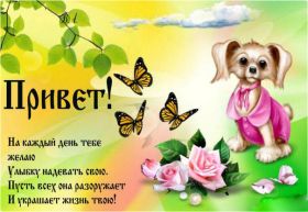 Открытка. Открытка Привет! Открытка привет, открытка приветик, открытка здрасьте, открытка здрасте, привет тебе, приветик для тебя Открытка привет, открытка приветик, открытка здрасьте, открытка здрасте, привет тебе, приветик для тебя, картинка привет, картинка приветик, картинка здрасьте, картинка здрасте, надпись привет, надпись приветик, надпись здрасьте, надпись здрасте