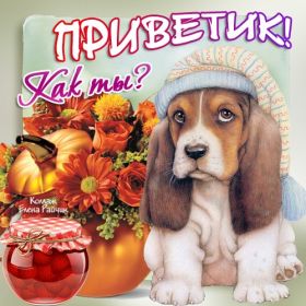 Открытка. Открытка Привет! Открытка привет, открытка приветик, открытка здрасьте, открытка здрасте, привет тебе, приветик для тебя Открытка привет, открытка приветик, открытка здрасьте, открытка здрасте, привет тебе, приветик для тебя, картинка привет, картинка приветик, картинка здрасьте, картинка здрасте, надпись привет, надпись приветик, надпись здрасьте, надпись здрасте