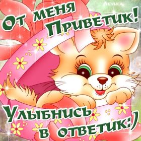 Открытка. Открытка Привет! Открытка привет, открытка приветик, открытка здрасьте, открытка здрасте, привет тебе, приветик для тебя Открытка привет, открытка приветик, открытка здрасьте, открытка здрасте, привет тебе, приветик для тебя, картинка привет, картинка приветик, картинка здрасьте, картинка здрасте, надпись привет, надпись приветик, надпись здрасьте, надпись здрасте