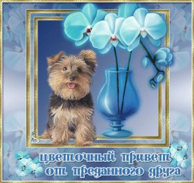 Открытка. Открытка Привет! Открытка привет, открытка приветик, открытка здрасьте, открытка здрасте, привет тебе, приветик для тебя Открытка привет, открытка приветик, открытка здрасьте, открытка здрасте, привет тебе, приветик для тебя, картинка привет, картинка приветик, картинка здрасьте, картинка здрасте, надпись привет, надпись приветик, надпись здрасьте, надпись здрасте