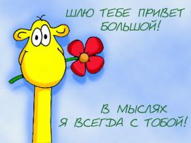 Открытка. Открытка Привет! Открытка привет, открытка приветик, открытка здрасьте, открытка здрасте, привет тебе, приветик для тебя Открытка привет, открытка приветик, открытка здрасьте, открытка здрасте, привет тебе, приветик для тебя, картинка привет, картинка приветик, картинка здрасьте, картинка здрасте, надпись привет, надпись приветик, надпись здрасьте, надпись здрасте