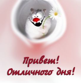 Открытка. Открытка Привет! Открытка привет, открытка приветик, открытка здрасьте, открытка здрасте, привет тебе, приветик для тебя Открытка привет, открытка приветик, открытка здрасьте, открытка здрасте, привет тебе, приветик для тебя, картинка привет, картинка приветик, картинка здрасьте, картинка здрасте, надпись привет, надпись приветик, надпись здрасьте, надпись здрасте