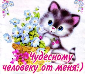 Открытка. Открытка Привет! Открытка привет, открытка приветик, открытка здрасьте, открытка здрасте, привет тебе, приветик для тебя Открытка привет, открытка приветик, открытка здрасьте, открытка здрасте, привет тебе, приветик для тебя, картинка привет, картинка приветик, картинка здрасьте, картинка здрасте, надпись привет, надпись приветик, надпись здрасьте, надпись здрасте