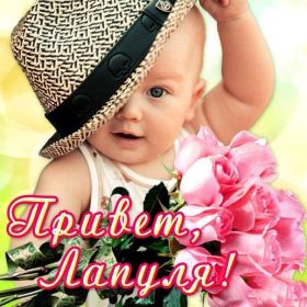 Открытка. Открытка Привет! Открытка привет, открытка приветик, открытка здрасьте, открытка здрасте, привет тебе, приветик для тебя Открытка привет, открытка приветик, открытка здрасьте, открытка здрасте, привет тебе, приветик для тебя, картинка привет, картинка приветик, картинка здрасьте, картинка здрасте, надпись привет, надпись приветик, надпись здрасьте, надпись здрасте