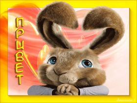 Открытка. Открытка Привет! Открытка привет, открытка приветик, открытка здрасьте, открытка здрасте, привет тебе, приветик для тебя Открытка привет, открытка приветик, открытка здрасьте, открытка здрасте, привет тебе, приветик для тебя, картинка привет, картинка приветик, картинка здрасьте, картинка здрасте, надпись привет, надпись приветик, надпись здрасьте, надпись здрасте