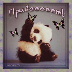 Открытка. Открытка Привет! Открытка привет, открытка приветик, открытка здрасьте, открытка здрасте, привет тебе, приветик для тебя Открытка привет, открытка приветик, открытка здрасьте, открытка здрасте, привет тебе, приветик для тебя, картинка привет, картинка приветик, картинка здрасьте, картинка здрасте, надпись привет, надпись приветик, надпись здрасьте, надпись здрасте