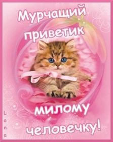 Открытка. Открытка Привет! Открытка привет, открытка приветик, открытка здрасьте, открытка здрасте, привет тебе, приветик для тебя Открытка привет, открытка приветик, открытка здрасьте, открытка здрасте, привет тебе, приветик для тебя, картинка привет, картинка приветик, картинка здрасьте, картинка здрасте, надпись привет, надпись приветик, надпись здрасьте, надпись здрасте