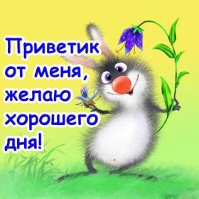 Открытка. Открытка Привет! Открытка привет, открытка приветик, открытка здрасьте, открытка здрасте, привет тебе, приветик для тебя Открытка привет, открытка приветик, открытка здрасьте, открытка здрасте, привет тебе, приветик для тебя, картинка привет, картинка приветик, картинка здрасьте, картинка здрасте, надпись привет, надпись приветик, надпись здрасьте, надпись здрасте