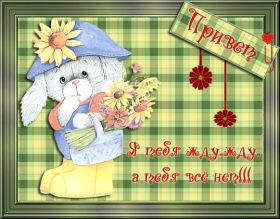 Открытка. Открытка Привет! Открытка привет, открытка приветик, открытка здрасьте, открытка здрасте, привет тебе, приветик для тебя Открытка привет, открытка приветик, открытка здрасьте, открытка здрасте, привет тебе, приветик для тебя, картинка привет, картинка приветик, картинка здрасьте, картинка здрасте, надпись привет, надпись приветик, надпись здрасьте, надпись здрасте