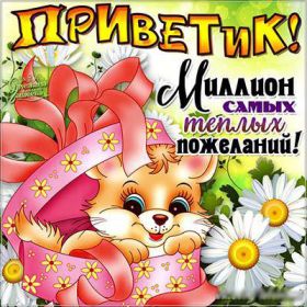 Открытка. Открытка Привет! Открытка привет, открытка приветик, открытка здрасьте, открытка здрасте, привет тебе, приветик для тебя Открытка привет, открытка приветик, открытка здрасьте, открытка здрасте, привет тебе, приветик для тебя, картинка привет, картинка приветик, картинка здрасьте, картинка здрасте, надпись привет, надпись приветик, надпись здрасьте, надпись здрасте