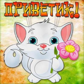 Открытка. Открытка Привет! Открытка привет, открытка приветик, открытка здрасьте, открытка здрасте, привет тебе, приветик для тебя Открытка привет, открытка приветик, открытка здрасьте, открытка здрасте, привет тебе, приветик для тебя, картинка привет, картинка приветик, картинка здрасьте, картинка здрасте, надпись привет, надпись приветик, надпись здрасьте, надпись здрасте
