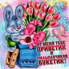 Открытка. Открытка Привет! Открытка привет, открытка приветик, открытка здрасьте, открытка здрасте, привет тебе, приветик для тебя Открытка привет, открытка приветик, открытка здрасьте, открытка здрасте, привет тебе, приветик для тебя, картинка привет, картинка приветик, картинка здрасьте, картинка здрасте, надпись привет, надпись приветик, надпись здрасьте, надпись здрасте