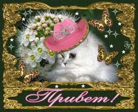 Открытка. Открытка Привет! Открытка привет, открытка приветик, открытка здрасьте, открытка здрасте, привет тебе, приветик для тебя Открытка привет, открытка приветик, открытка здрасьте, открытка здрасте, привет тебе, приветик для тебя, картинка привет, картинка приветик, картинка здрасьте, картинка здрасте, надпись привет, надпись приветик, надпись здрасьте, надпись здрасте