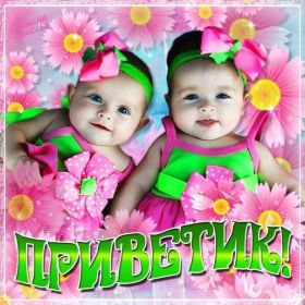 Открытка. Открытка Привет! Открытка привет, открытка приветик, открытка здрасьте, открытка здрасте, привет тебе, приветик для тебя Открытка привет, открытка приветик, открытка здрасьте, открытка здрасте, привет тебе, приветик для тебя, картинка привет, картинка приветик, картинка здрасьте, картинка здрасте, надпись привет, надпись приветик, надпись здрасьте, надпись здрасте