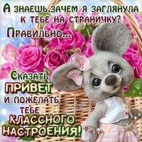 Открытка. Открытка Привет! Открытка привет, открытка приветик, открытка здрасьте, открытка здрасте, привет тебе, приветик для тебя Открытка привет, открытка приветик, открытка здрасьте, открытка здрасте, привет тебе, приветик для тебя, картинка привет, картинка приветик, картинка здрасьте, картинка здрасте, надпись привет, надпись приветик, надпись здрасьте, надпись здрасте