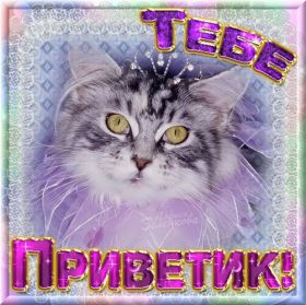 Открытка. Открытка Привет! Открытка привет, открытка приветик, открытка здрасьте, открытка здрасте, привет тебе, приветик для тебя Открытка привет, открытка приветик, открытка здрасьте, открытка здрасте, привет тебе, приветик для тебя, картинка привет, картинка приветик, картинка здрасьте, картинка здрасте, надпись привет, надпись приветик, надпись здрасьте, надпись здрасте