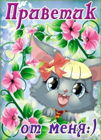 Открытка. Открытка Привет! Открытка привет, открытка приветик, открытка здрасьте, открытка здрасте, привет тебе, приветик для тебя Открытка привет, открытка приветик, открытка здрасьте, открытка здрасте, привет тебе, приветик для тебя, картинка привет, картинка приветик, картинка здрасьте, картинка здрасте, надпись привет, надпись приветик, надпись здрасьте, надпись здрасте