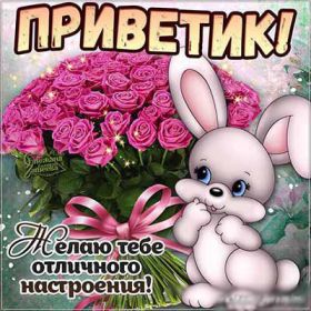 Открытка. Открытка Привет! Открытка привет, открытка приветик, открытка здрасьте, открытка здрасте, привет тебе, приветик для тебя Открытка привет, открытка приветик, открытка здрасьте, открытка здрасте, привет тебе, приветик для тебя, картинка привет, картинка приветик, картинка здрасьте, картинка здрасте, надпись привет, надпись приветик, надпись здрасьте, надпись здрасте