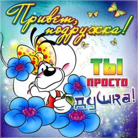 Открытка. Открытка Привет! Открытка привет, открытка приветик, открытка здрасьте, открытка здрасте, привет тебе, приветик для тебя Открытка привет, открытка приветик, открытка здрасьте, открытка здрасте, привет тебе, приветик для тебя, картинка привет, картинка приветик, картинка здрасьте, картинка здрасте, надпись привет, надпись приветик, надпись здрасьте, надпись здрасте