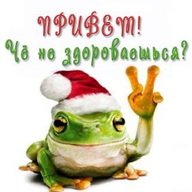 Открытка. Открытка Привет! Открытка привет, открытка приветик, открытка здрасьте, открытка здрасте, привет тебе, приветик для тебя Открытка привет, открытка приветик, открытка здрасьте, открытка здрасте, привет тебе, приветик для тебя, картинка привет, картинка приветик, картинка здрасьте, картинка здрасте, надпись привет, надпись приветик, надпись здрасьте, надпись здрасте