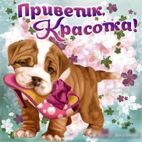 Открытка. Открытка Привет! Открытка привет, открытка приветик, открытка здрасьте, открытка здрасте, привет тебе, приветик для тебя Открытка привет, открытка приветик, открытка здрасьте, открытка здрасте, привет тебе, приветик для тебя, картинка привет, картинка приветик, картинка здрасьте, картинка здрасте, надпись привет, надпись приветик, надпись здрасьте, надпись здрасте