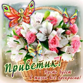 Открытка. Открытка Привет! Открытка привет, открытка приветик, открытка здрасьте, открытка здрасте, привет тебе, приветик для тебя Открытка привет, открытка приветик, открытка здрасьте, открытка здрасте, привет тебе, приветик для тебя, картинка привет, картинка приветик, картинка здрасьте, картинка здрасте, надпись привет, надпись приветик, надпись здрасьте, надпись здрасте