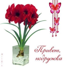 Открытка. Открытка Привет! Открытка привет, открытка приветик, открытка здрасьте, открытка здрасте, привет тебе, приветик для тебя Открытка привет, открытка приветик, открытка здрасьте, открытка здрасте, привет тебе, приветик для тебя, картинка привет, картинка приветик, картинка здрасьте, картинка здрасте, надпись привет, надпись приветик, надпись здрасьте, надпись здрасте