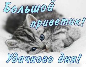 Открытка. Открытка Привет! Открытка привет, открытка приветик, открытка здрасьте, открытка здрасте, привет тебе, приветик для тебя Открытка привет, открытка приветик, открытка здрасьте, открытка здрасте, привет тебе, приветик для тебя, картинка привет, картинка приветик, картинка здрасьте, картинка здрасте, надпись привет, надпись приветик, надпись здрасьте, надпись здрасте