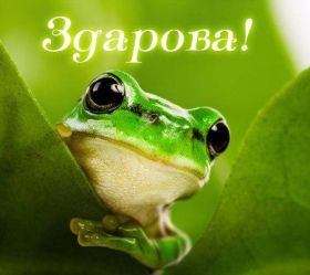 Открытка. Открытка Привет! Открытка привет, открытка приветик, открытка здрасьте, открытка здрасте, привет тебе, приветик для тебя Открытка привет, открытка приветик, открытка здрасьте, открытка здрасте, привет тебе, приветик для тебя, картинка привет, картинка приветик, картинка здрасьте, картинка здрасте, надпись привет, надпись приветик, надпись здрасьте, надпись здрасте