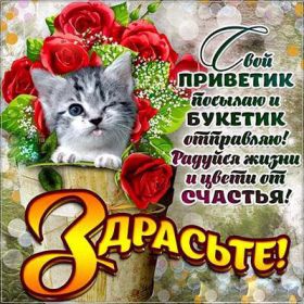 Открытка. Открытка Привет! Открытка привет, открытка приветик, открытка здрасьте, открытка здрасте, привет тебе, приветик для тебя Открытка привет, открытка приветик, открытка здрасьте, открытка здрасте, привет тебе, приветик для тебя, картинка привет, картинка приветик, картинка здрасьте, картинка здрасте, надпись привет, надпись приветик, надпись здрасьте, надпись здрасте