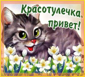 Открытка. Открытка Привет! Открытка привет, открытка приветик, открытка здрасьте, открытка здрасте, привет тебе, приветик для тебя Открытка привет, открытка приветик, открытка здрасьте, открытка здрасте, привет тебе, приветик для тебя, картинка привет, картинка приветик, картинка здрасьте, картинка здрасте, надпись привет, надпись приветик, надпись здрасьте, надпись здрасте