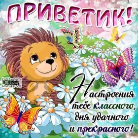 Открытка. Открытка Привет! Открытка привет, открытка приветик, открытка здрасьте, открытка здрасте, привет тебе, приветик для тебя Открытка привет, открытка приветик, открытка здрасьте, открытка здрасте, привет тебе, приветик для тебя, картинка привет, картинка приветик, картинка здрасьте, картинка здрасте, надпись привет, надпись приветик, надпись здрасьте, надпись здрасте