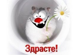 Открытка. Открытка Привет! Открытка привет, открытка приветик, открытка здрасьте, открытка здрасте, привет тебе, приветик для тебя Открытка привет, открытка приветик, открытка здрасьте, открытка здрасте, привет тебе, приветик для тебя, картинка привет, картинка приветик, картинка здрасьте, картинка здрасте, надпись привет, надпись приветик, надпись здрасьте, надпись здрасте